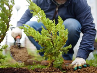 Лунный календарь садовода на 8 и 9 ноября: отложи консервирование и обработку растений от вредителей — все пойдет не по плану!