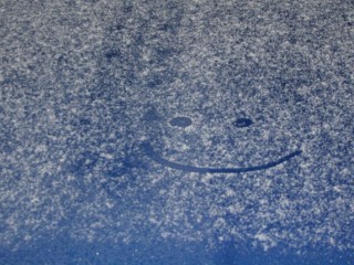 Снега в ноябре 2025 синоптики не обещают