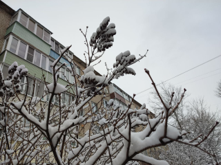 Дождь со снегом и гололед: синоптик спрогнозировал резкий холод с 14 ноября в Подмосковье