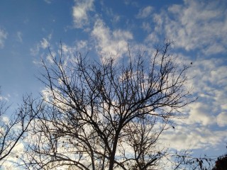 Народные приметы и прогноз погоды на 6 ноября 2025