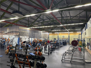 Стало известно, где в Реутове участники СВО могут заниматься спортом бесплатно