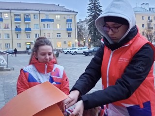 Экологическую акцию по сбору батареек организовали воскресенские волонтеры