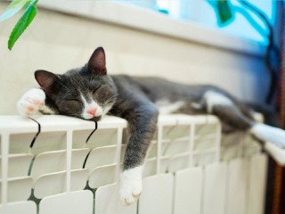 Нарофоминцев предупредили об ограничении подачи тепла в домах на четырех улицах 11 ноября