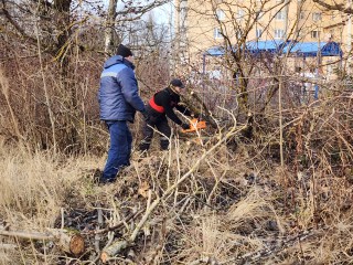 На Окружном проезде убрали дерево, упавшее из-за порывистого ветра