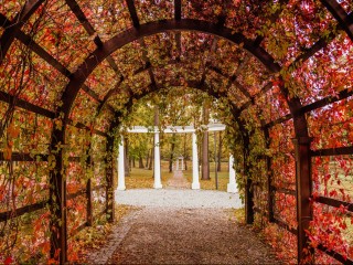 Праздники без шапки и перчаток: когда в Подмосковье ждать ноябрьского потепления до +10