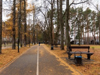Где в Подмосковье стало уютнее: вы удивитесь, сколько всего успели за неделю