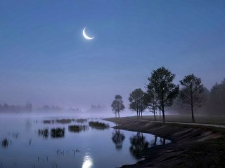 Какой сегодня день по лунному календарю: что запрещено 12 ноября 2025 года