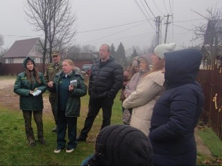 Готовим валежник правильно: лучшие рецепты от Комлесхоза Подмосковья