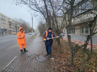 Тротуар без препятствий: рабочие навели порядок на главном маршруте к школе на Босова