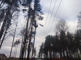 «Зеленая угроза» под контролем: как в Раменском обезопасили линии электропередачи