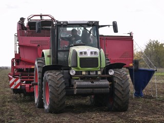 Аграрии сезона подведут итоги сезона: лучших наградят