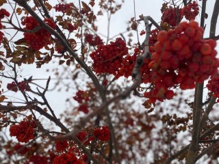 В преддверии зимы: почему температура воздуха в столичном регионе осталась плюсовой