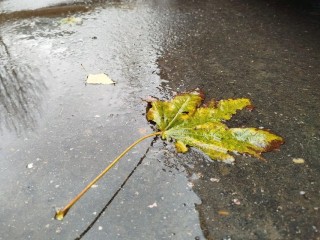 «Маленькую Венецию» на улице Институтской устранили после жалоб жителей