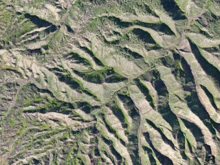 «Плейстоценовый хаки»: ученые из Пущина «открыли» еще один новый цвет