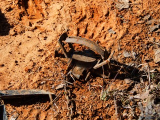Стальная проволока, капканы и «ежи»: кто и зачем расставляет смертельно опасные ловушки в подмосковных лесах