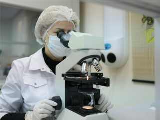 С ноября в 31 больнице Подмосковья доступна ранняя диагностика рака кишечника: как записаться и что нужно взять с собой