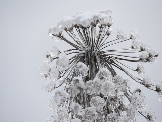 Ударят ли в Подмосковье морозы до –20°C уже этой зимой?