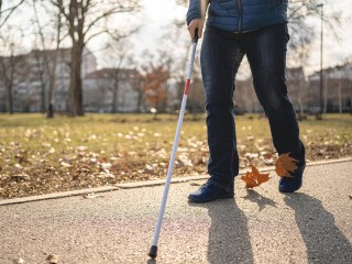 Международный день слепых 13 ноября 2025 года: история, традиции и важные факты