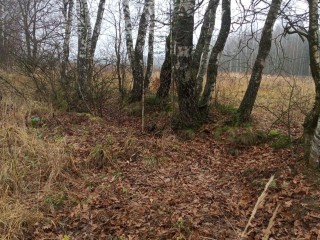 Коммунальщики убрали мешки с мусором, оставленные на поле в микрорайоне Катюшки