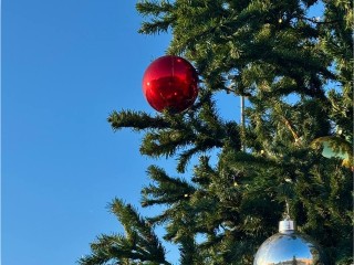 В Домодедове начали украшать главные новогодние елки