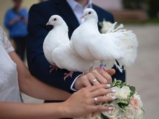 Необычная свадьба в Чехове умудрились вызвать переполох у жителей