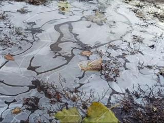 Коньки далеко не откладываем: по прогнозу синоптика Ильина, Подмосковье ждет гололедица