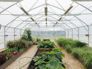 Техногрунт‑супергерой: как отходы стали лучшим удобрением для растений на комплексе «Нева»