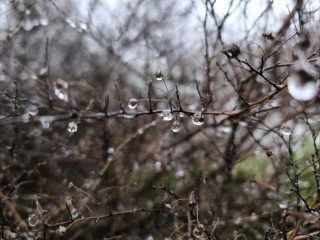 Синоптики предупреждают о «сюрпризах» погоды на выходных в Подмосковье