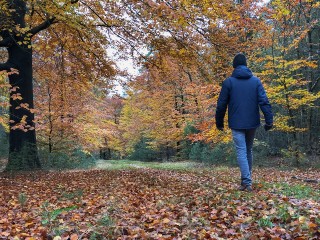 В Подмосковье нашли живым мужчину, пропавшего в Белых Столбах