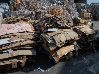 В Одинцове стартовала экологическая акция по сбору макулатуры