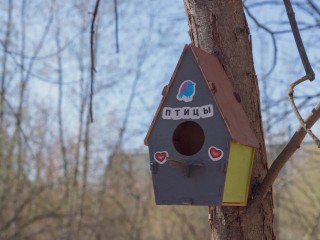 Синичкин день и осенний движ: бесплатный досуг для жителей подготовили парки Орехово-Зуева