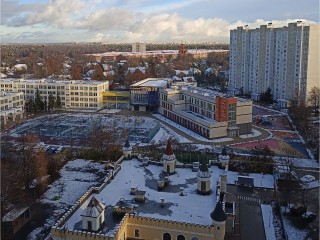 В Королеве первый снег растаял всего за один день