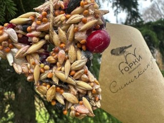 Смотритель Северного флигеля в Горках Ленинских раздаст посетителям съедобные кормушки для птиц