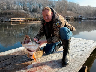 «Что-то невероятное»: глава Зарайска вытащил из пруда громадного монстра