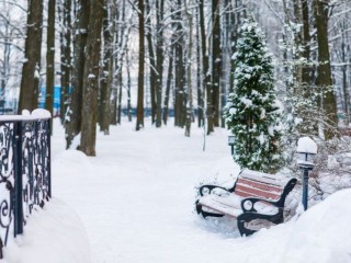 Сколько сантиметров снега выпадет в первый день зимы в Подмосковье, рассказал синоптик Ильин