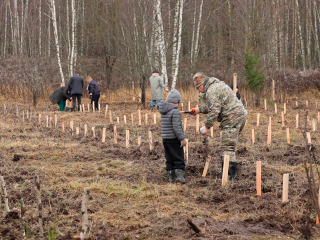 В «Лосином острове» высадили целый лесной массив