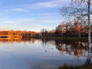 Зима не спешит в Подмосковье: температура снова резко поднимется