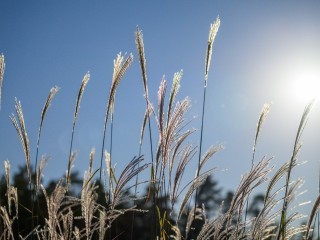 Грядущая зима обещает быть рекордно короткой, сказал синоптик