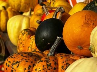 Куда пойти за покупками в ноябре: главные осенние ярмарки Подмосковья