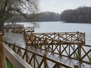 Осень в Коломне: местные жители дали совет, где погулять на ноябрьских выходных