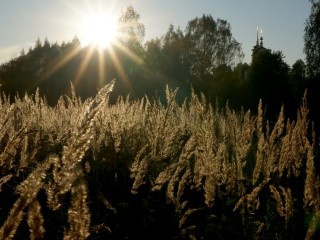 Виртуальную выставку открыли на сайте Рузского музея