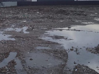 Суд обязал бизнесмена из Павловского Посада выплатить ₽11 млн за незаконную свалку