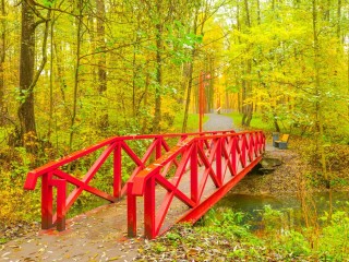 «Пока никакого снега»: Вильфанд дал точный прогноз погоды на ноябрь и объяснил, что не пошло не так с зимой