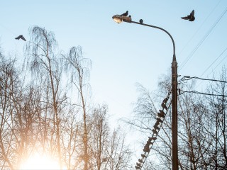От морозов к жаре и обратно: погодные качели в Московском регионе спрогнозировал синоптик Шувалов