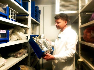 Геокриологи из Пущина оживили проспавших 40 тыс. лет древних червей