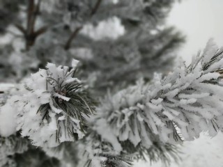 Стало известно, когда придет метеорологическая зима в Подмосковье