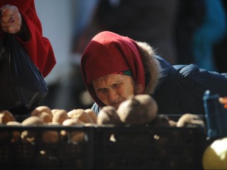 Почти 200 ярмарок: куда пойти за покупками в Подмосковье
