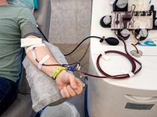 Подмосковью нужны доноры: где сдать кровь и кого ждут именно сегодня