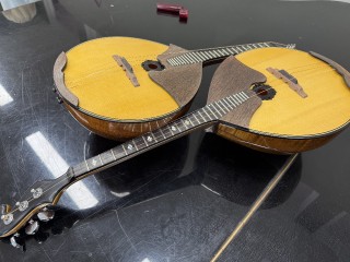 Искусство исполнения: профессионал поделилась секретами мастерства с молодыми музыкантами