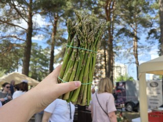 Самый «вкусный» праздник спаржи из Озер отмечен солидной международной наградой
